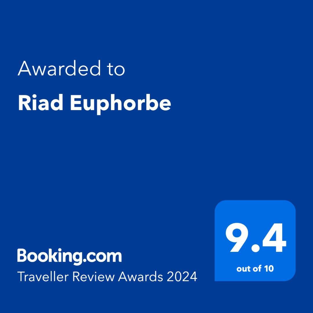 Riad Euphorbe マラケシュ エクステリア 写真